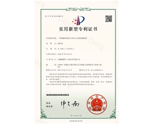 发明&实用新型专利